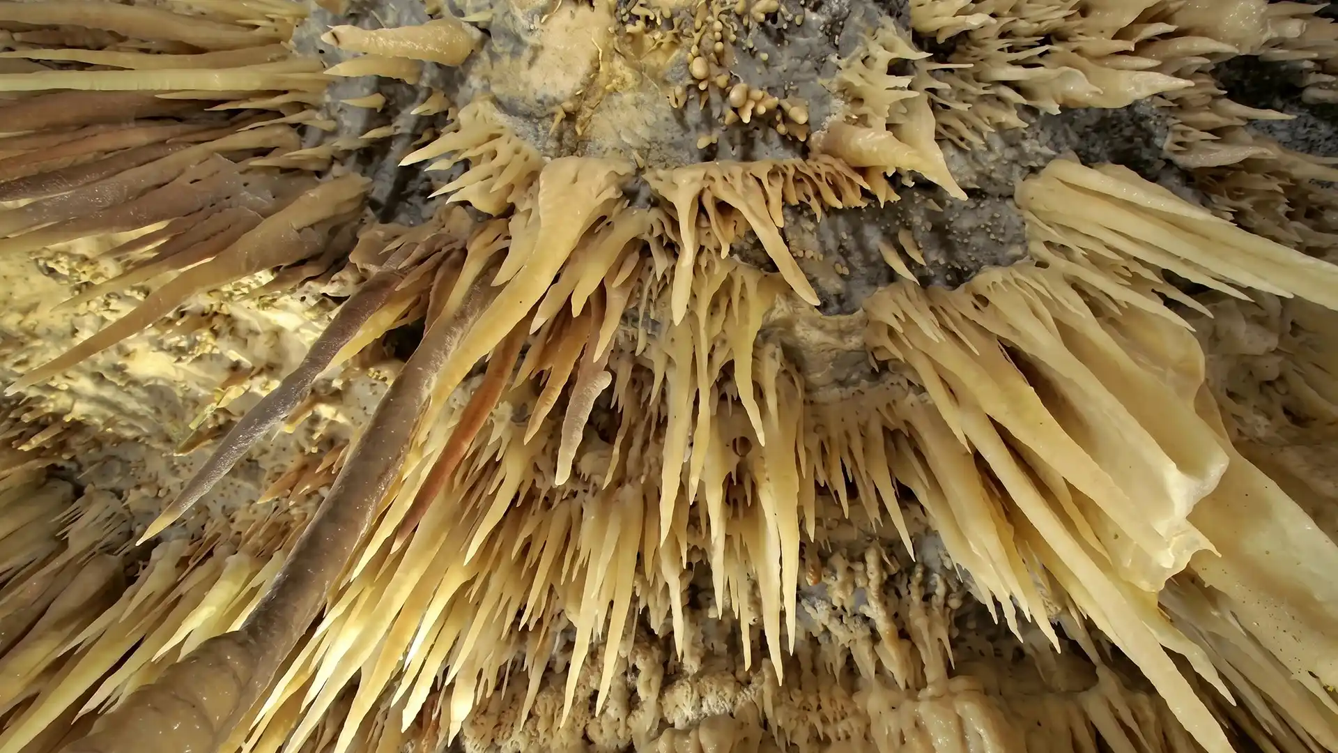 Grotte di Castellana 2