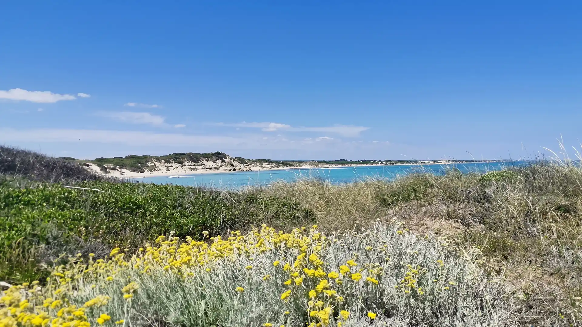 Riserva di Torre Guaceto