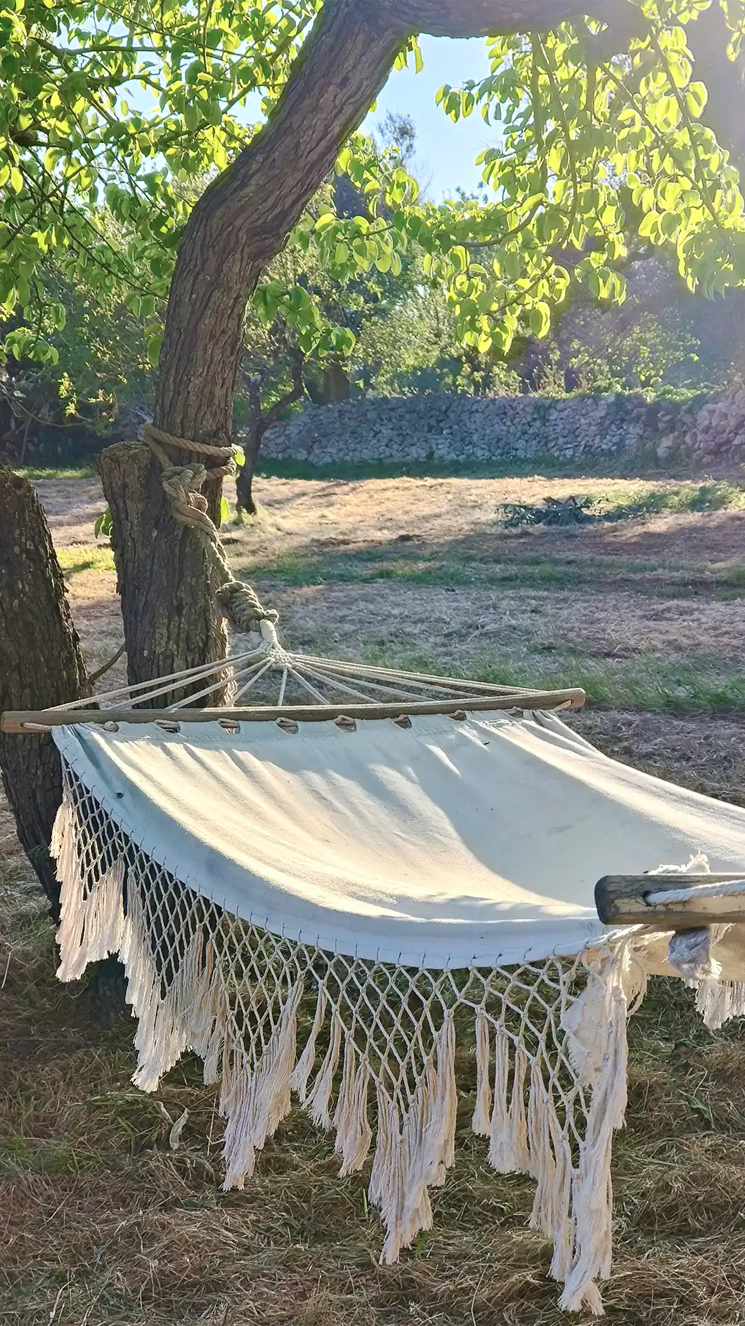 Amaca per relax in giardino