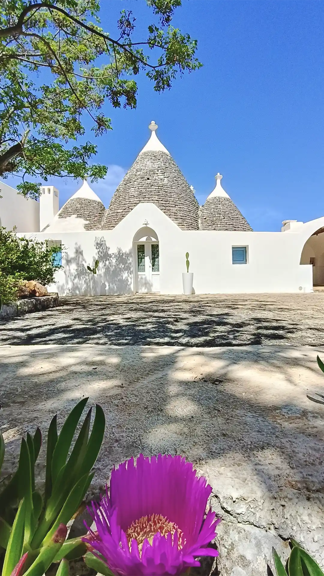 Trullo frontale con fiore