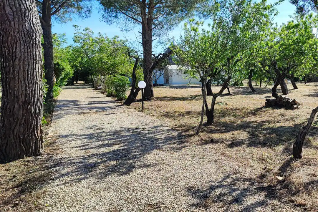 Viale d'ingresso vista da Trullo
